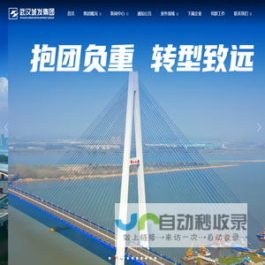武汉城市发展集团有限公司